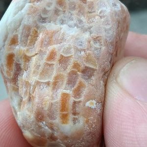 Meet your Posher, Margaret